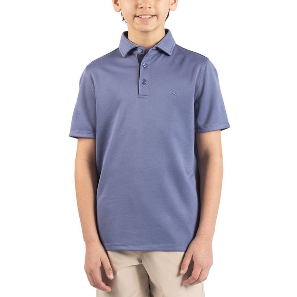 Tailorbyrd Boys  Solid Polo Shirt, Blue